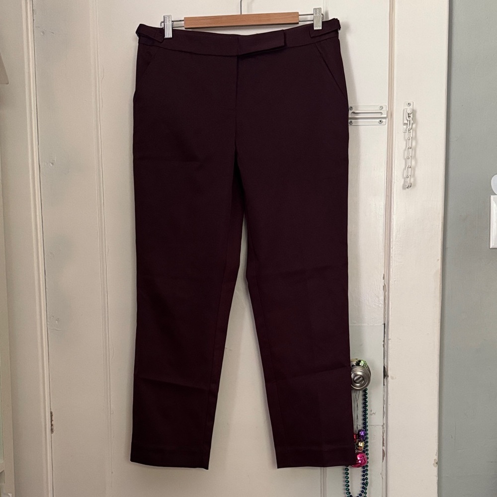 Max Studio Deep Burgundy Pants